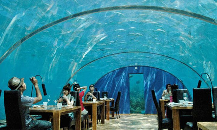 أغرب المطاعم حول العالم