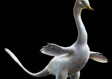 تعرف على الديناصورات التي تعيش في المياه