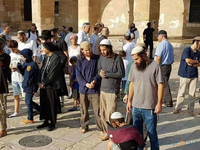 دعوات إستيطانية للتظاهر واقتحام المسجد الأقصى