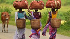 الهند تتخطى المعدلات العالمية لحالات الإجهاض