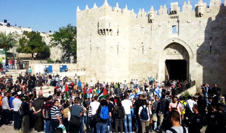 القدس: إصابة فتاة وصحفي واعتقال ناشط خلال قمع الاحتلال لوقفة احتجاجية