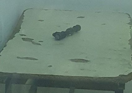 بزعم حيازته"كوع متفجر": الاحتلال يعتقل شابا بالقرب من محكمة سالم