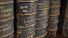 هزة شبابية ..كلمة العام لسنة (2017)