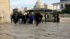 عشرات المستوطنين يجددون اقتحاماتهم للمسجد الأقصى