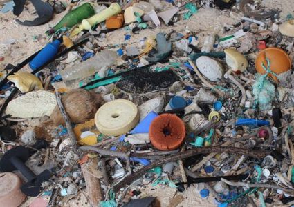 خطة المملكة المتحدة لمعالجة تهديد النفايات البلاستيكية