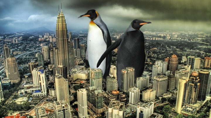 علماء يعثرون على" البطريق العملاق"