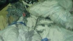 ضبط 17 طن حبيبات بلاستيك من انتاج المستوطنات