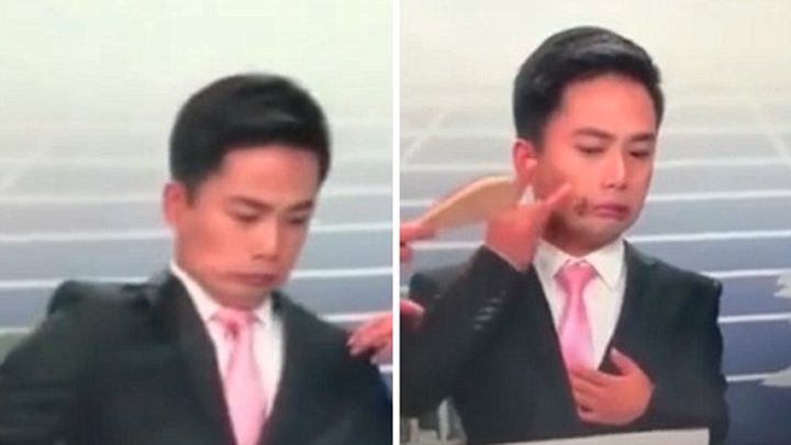 نحلة تتسبب في ذعر مذيع على الهواء