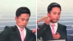 نحلة تتسبب في ذعر مذيع على الهواء