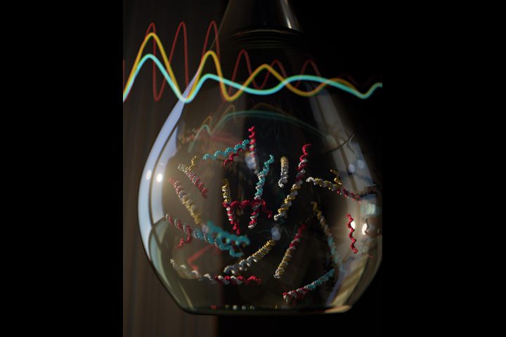 كيف نقوم ببرمجة الحمض النووي (DNA)؟