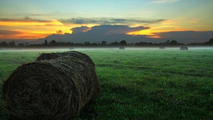 شذوذ غير متوقع في نشاط الشمس