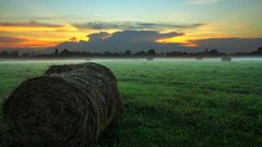 شذوذ غير متوقع في نشاط الشمس