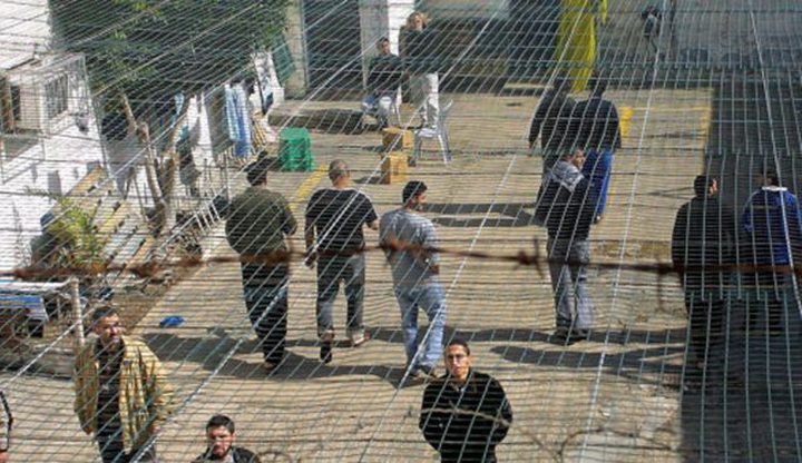 (531) أسيراً يقضون أحكاماً بالسجن المؤبد