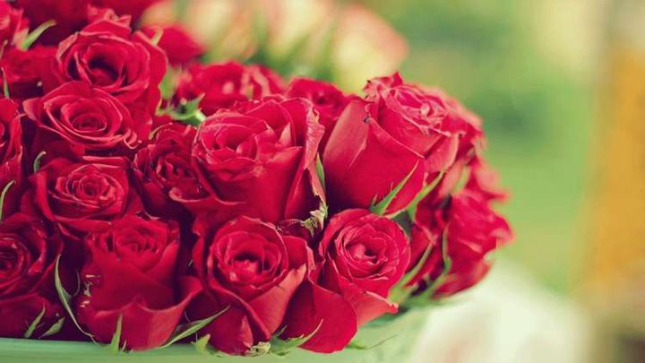 قتل فتاة لرفضها قبول باقة ورد منه