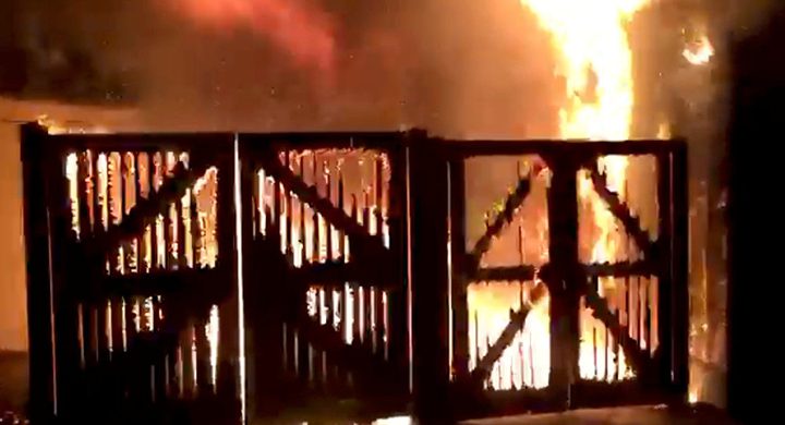 إغلاق حديقة الحيوانات في لندن وفقدان أكل النمل