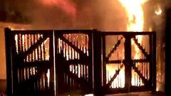 إغلاق حديقة الحيوانات في لندن وفقدان أكل النمل