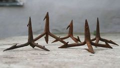 إلقاء القبض على "شرطي المسامير"!