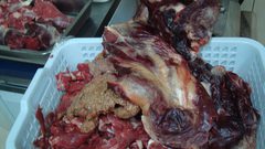 إتلاف مواد غذائية ومنظفات منتهية الصلاحية في جنين