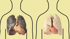 كيف تنظف رئتيك من النيكوتين من آثار التدخين