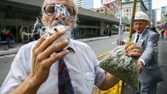 احتجاز عجوزين بحوزتهما حشيش كهدايا لعيد الميلاد