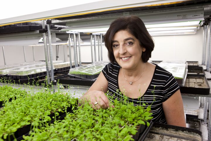 عالمة نباتات تفوز بجائزة 3 ملايين دولار عن أبحاث تغير المناخ