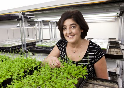 عالمة نباتات تفوز بجائزة 3 ملايين دولار عن أبحاث تغير المناخ