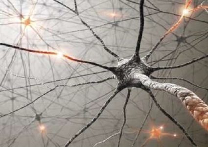 إكتشاف طريقة لإصلاح الأعصاب التالفة