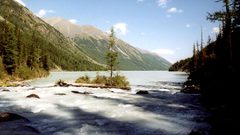 هذا ما عثر علماء التاريخ في قبر لطفل يرجع إلى ما قبل التاريخ