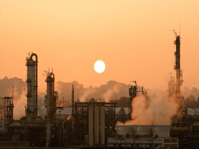 لن تستطيع تقنية زراعة الأشجار أن تنقذنا بعد الآن