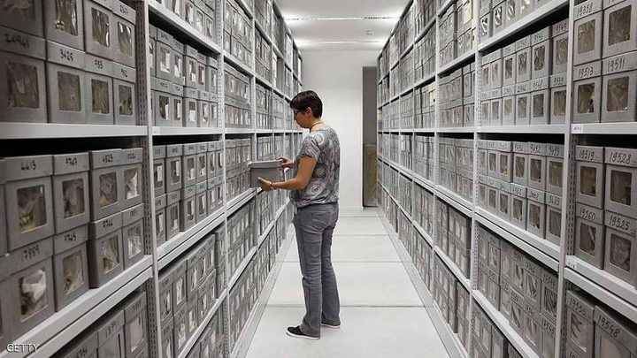 "جماجم شهداء الجزائر" تنتظر الخروج من متحف باريس