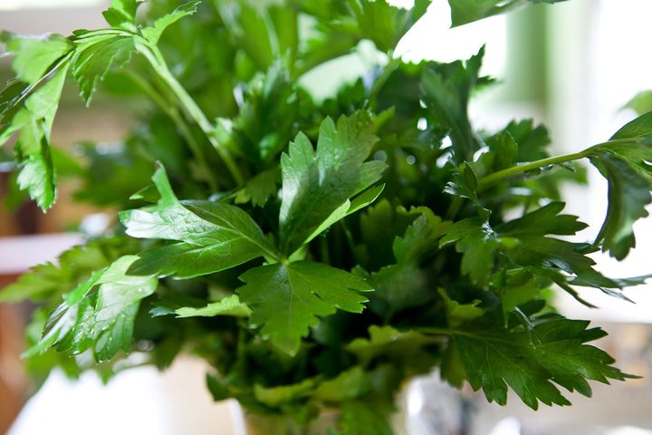 اهم خلطات البقدونس لتطويل الشعر