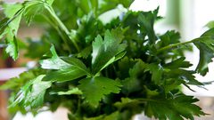 اهم خلطات البقدونس لتطويل الشعر