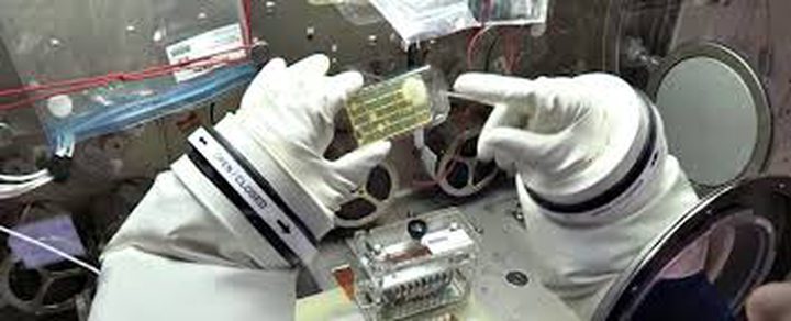 رواد الفضاء يتعرفون على ميكروبات غير معروفة في الفضاء للمرة الأولى