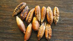 نواة التمر لتجديد طبيعي وفعّال للبشرة