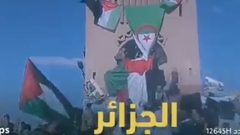 جزائريون يعلقون على فيديو البوريني والنجار: "مقصرين بزاف"