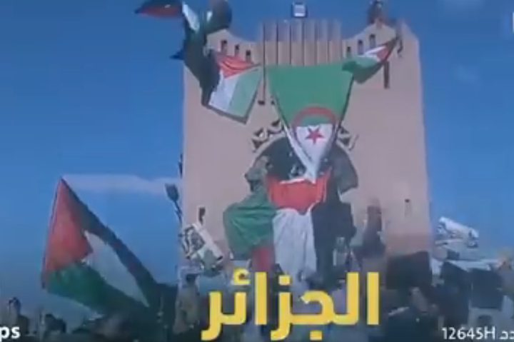 جزائريون يعلقون على فيديو البوريني والنجار: "مقصرين بزاف"