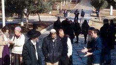 مستوطنون يدنسون الأقصى ب"زواج تلمودي"