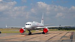 طائر يدفع طائرة للهبوط إضطرارياً