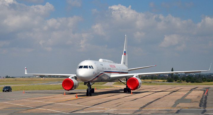 طائر يدفع طائرة للهبوط إضطرارياً