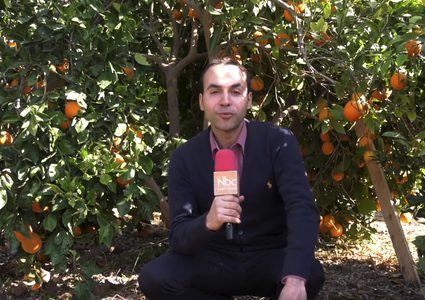 جولة صباحية في بيارات بيت لاهيا (فيديو)