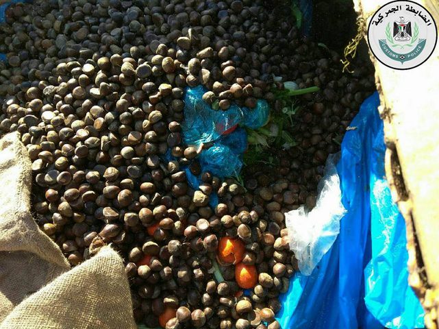 إتلاف 280 كغم كستنة غير صالحة للاستهلاك الادمي