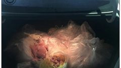 الضابطة تتلف 100كغم جناح دجاج وصدر حبش غير صالح للاستهلاك الآدمي في طولكرم