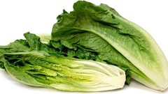 الخس سبيلك لإنقاص الوزن وحرق الدهون سريعاً