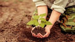 بمناسبة يوم الشجرة.. زراعة طولكرم تنظم نشاطاً مركزياً