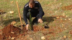 طوباس: زراعة أشجار ضمن فعاليات يوم الشجرة