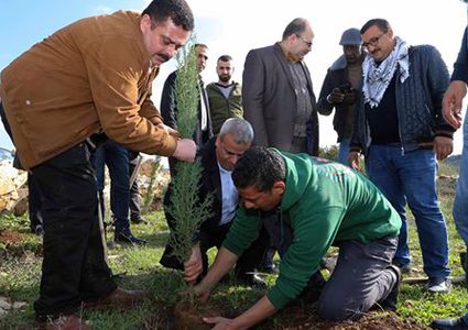 زراعة أشجار حرجية في قرية عزبة الطبيب بيوم الشجرة