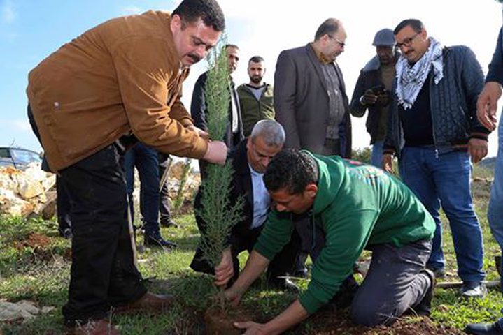 زراعة أشجار حرجية في قرية عزبة الطبيب بيوم الشجرة