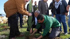 زراعة أشجار حرجية في قرية عزبة الطبيب بيوم الشجرة