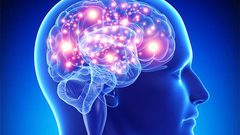 طريقة جديدة لمنع شيخوخة الدماغ