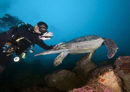 حيوانات تراوغ الموت بخداع الشيخوخة!